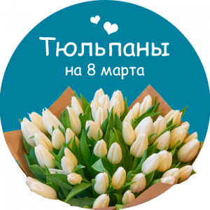 Купить тюльпаны в Михайловке